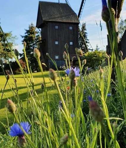 Wiatrak Holiday home *